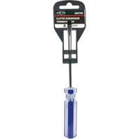 Tournevis &agrave; fente bleu transparent avec bandes, Tige de 3/16", Ronde, Prise en Plastique Absolute Business Supply