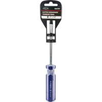 Tournevis &agrave; fente bleu transparent avec bandes, Tige de 1/4", Ronde, Prise en Plastique Absolute Business Supply