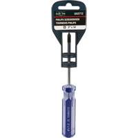 Tournevis Philips bleu transparent avec bandes, #1, Prise Plastique Absolute Business Supply