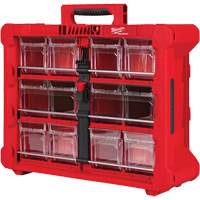 Organisateur PACKOUT &agrave; bac inclinable, 15-1/5" x 19-7/10" x 6-7/10", Noir/Rouge Absolute Business Supply