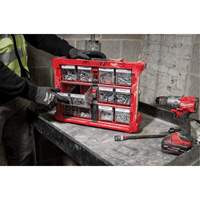 Organisateur PACKOUT &agrave; bac inclinable, 15-1/5" x 19-7/10" x 6-7/10", Noir/Rouge Absolute Business Supply