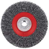 Brosse m&eacute;tallique &agrave; fils torsad&eacute;s &agrave; haut rendement 5C14T, 5" dia., Fils 0,014", Arbre 5/8"-11NC Absolute Business Supply