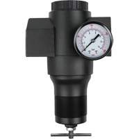 R&eacute;gulateur en aluminium, 1-1/2" NPT, PSI max. de 300 psi, Canalisation Absolute Business Supply