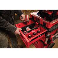 Diviseur pour boîtes &agrave; outils &agrave; tiroirs Packout Absolute Business Supply