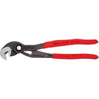 Pince Raptor, 10" Absolute Business Supply