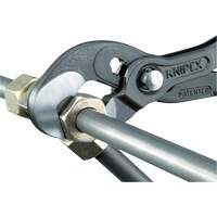 Pince Raptor, 10" Absolute Business Supply