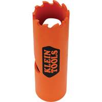 Scie-cloche, 3/4", Profondeur de la coupe 2", Bim&eacute;tal Absolute Business Supply