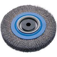Crimped Wire Bench Wheel Brush, 8" Dia., 0.0118" Fill, 5/8" - 1-1/4" Arbor Absolute Business Supply