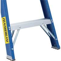 Escabeaux industriels (s&eacute;rie 6300), 4', Fibre de verre, Capacit&eacute; 250 lb, Type 1 Absolute Business Supply