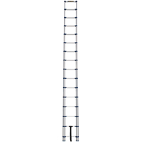 Telescopic Ladder, 3' - 15.5', Aluminum, 250 lbs. Capacity, Type 1 Absolute Business Supply