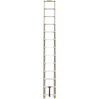 Telescopic Ladder, 3' - 12', Aluminum, 250 lbs. Capacity, Type 1 Absolute Business Supply