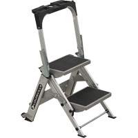 &eacute;chelle escabeau avec roues pivotantes, 2 marches, 23" x 21" x Hauteur 34,50" Absolute Business Supply
