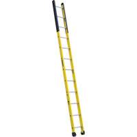 &eacute;chelle &eacute;troite pour trou d'homme, 12', Fibre de verre, 375 lb, CSA calibre 1AA Absolute Business Supply