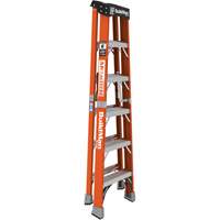 Step Ladder, 6', Fibreglass, 375 lbs. Capacity, Type 1AA Absolute Business Supply