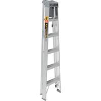 Escabeau avec plateau &agrave; peinture, 6', Aluminium, Capacit&eacute; 225 lb, Type 2 Absolute Business Supply