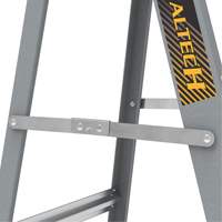 Escabeau avec plateau &agrave; peinture, 6', Fibre de verre, Capacit&eacute; 225 lb, Type 2 Absolute Business Supply
