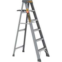 Escabeau avec plateau &agrave; peinture, 6', Fibre de verre, Capacit&eacute; 225 lb, Type 2 Absolute Business Supply