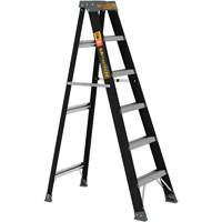 Escabeau, 6', Fibre de verre, Capacit&eacute; 250 lb, Type 1 Absolute Business Supply