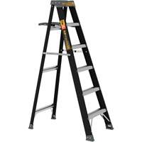 Escabeau avec plateau &agrave; peinture, 6', Fibre de verre, Capacit&eacute; 250 lb, Type 1 Absolute Business Supply