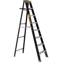 Escabeau avec plateau &agrave; peinture, 8', Fibre de verre, Capacit&eacute; 250 lb, Type 1 Absolute Business Supply