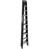 Escabeau avec plateau &agrave; peinture, 10', Fibre de verre, Capacit&eacute; 250 lb, Type 1 Absolute Business Supply