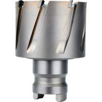 Fraise avec tenon &agrave; changement rapide Drive Hawg, Diam&egrave;tre de 2", Acier, Profondeur de la coupe de 1" Absolute Business Supply