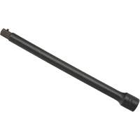 Rallonge pour douille, Chocs, Prise 1/2", 10" lo Absolute Business Supply