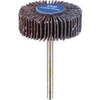 3/8" Flapwheel Sanding Bit - 80 Grit Absolute Business Supply