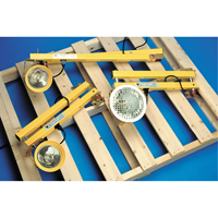 Lampes pour les quais, Bras 60", Ampoule Incandescente, M&eacute;tal Absolute Business Supply