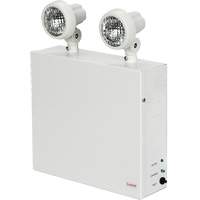 Lampes de secours Nova, Acier, DEL, 120 V - 347 V Absolute Business Supply
