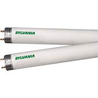 Lampes fluorescentes, 32 W, T8, 4100 K, Longueur de 48" Absolute Business Supply