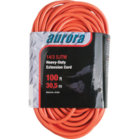 Cordon rallonge en vinyle, Ext&eacute;rieur, SJTW, AWG 14/3, 13 A, 100' Absolute Business Supply