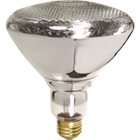 Economy Line Incandescent Lamps Absolute Business Supply