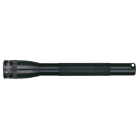 Lampes de poche Mini, DEL, 100 lumens, Piles AAA Absolute Business Supply