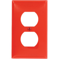 Receptacle Wallplate Absolute Business Supply