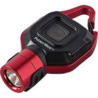 Pocket Mate&reg; USB Flashlight Absolute Business Supply