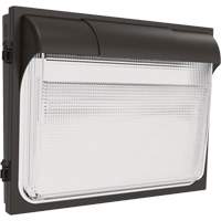 TWX3 Wall Luminaire, LED, 347 V, 14" H x 18" W x 5" D Absolute Business Supply