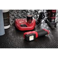 M12 Paint and Detailing Color Match Light, LED, 1000 Lumens Absolute Business Supply