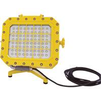 Explosion Proof Floodlight with Floor Stand, LED, 40 W, 5600 Lumens, Aluminum Housing Absolute Business Supply