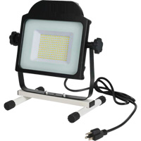 Floodlight, LED, 100 W, 10000 Lumens Absolute Business Supply