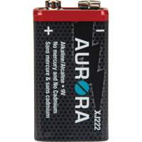 Industrial Alkaline Batteries, 9 V Absolute Business Supply