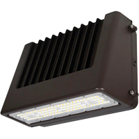 Luminaire mural, DEL, 120 V, 80 W, 6,5" ha x 9,3" la x 14,4" p Absolute Business Supply