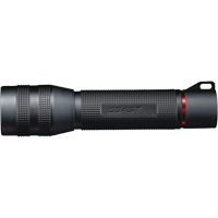 Lampe de poche hydrofuge GX30, Piles AA Absolute Business Supply