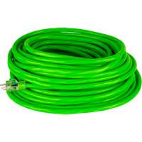 Industrial Extension Cord, All-Weather, SJTW, 10/3 AWG, 15 A, 50' Absolute Business Supply